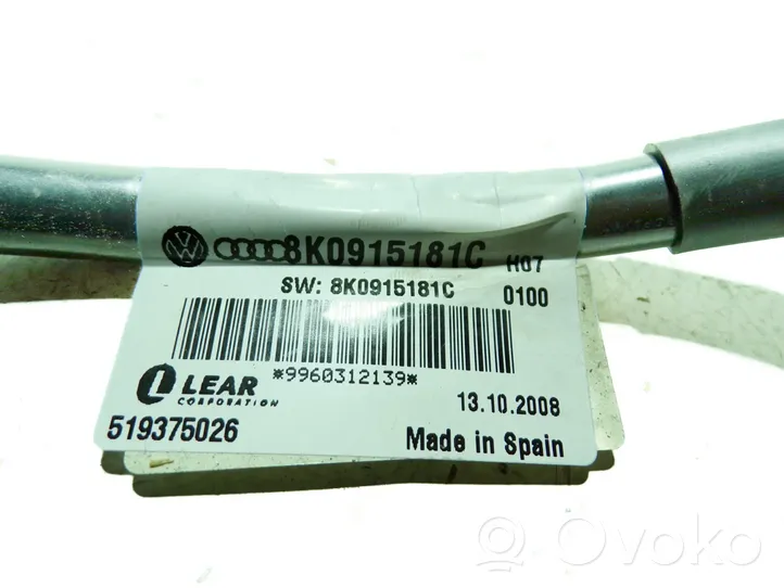 Audi A6 S6 C6 4F Negative earth cable (battery) 8K0915181C