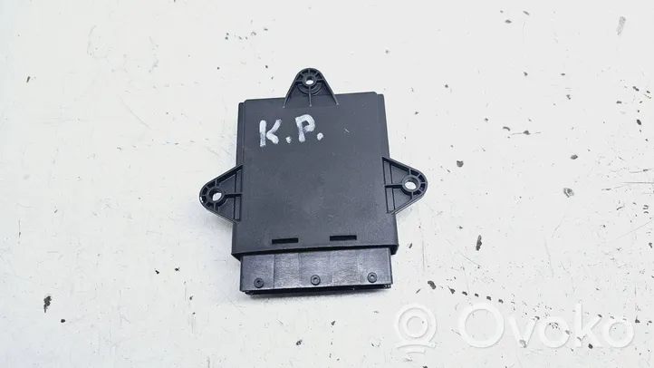 Opel Signum Door control unit/module 13193371