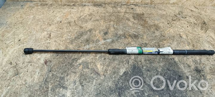 Volkswagen PASSAT CC Ammortizzatore portellone anteriore/cofano 3C8823359