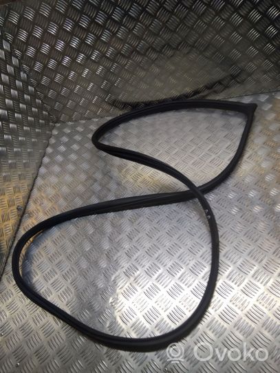 KIA Rio Front door rubber seal 