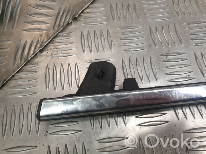 Citroen C4 II Rivestimento modanatura del vetro della portiera anteriore 9687378580