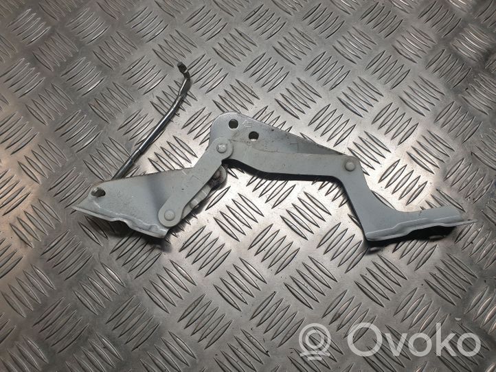 Peugeot iOn Engine bonnet/hood hinges 