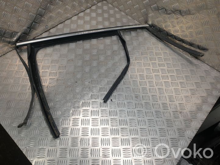 Volkswagen Tiguan Guarnizione in gomma finestrino/vetro portiera posteriore 5N0839431H