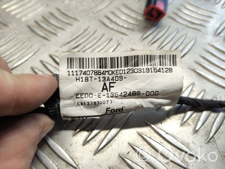 Ford Fiesta Faisceau de câbles hayon de coffre H1BT13A409AF