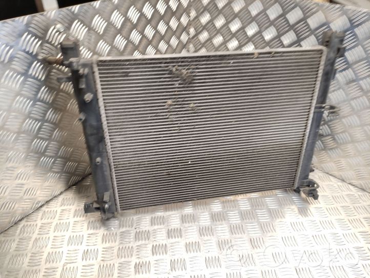 Dacia Sandero Dzesēšanas šķidruma radiators 214100078R