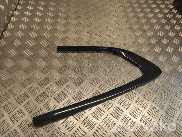 BMW 5 GT F07 Rear door glass trim molding 7196420