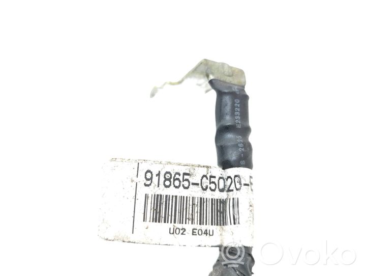 KIA Sorento Câble négatif masse batterie 91865C5020