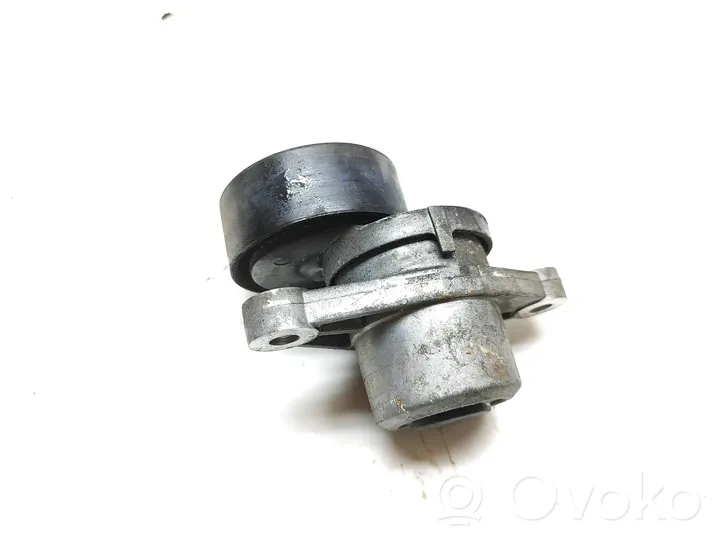 Citroen DS5 Generatoriaus diržo įtempėjas 9801875280