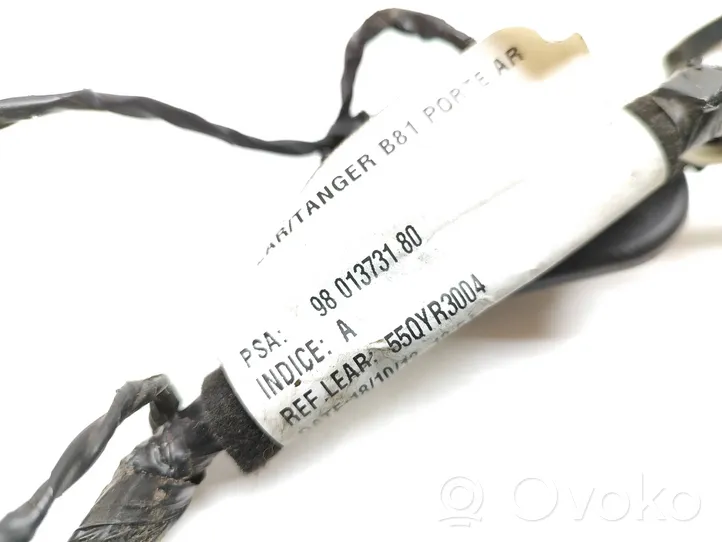 Citroen DS5 Faisceau de câblage de porte arrière 9801373180