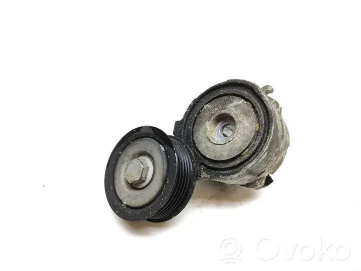 Volkswagen Touareg II Tensor de correa del alternador 04883020001