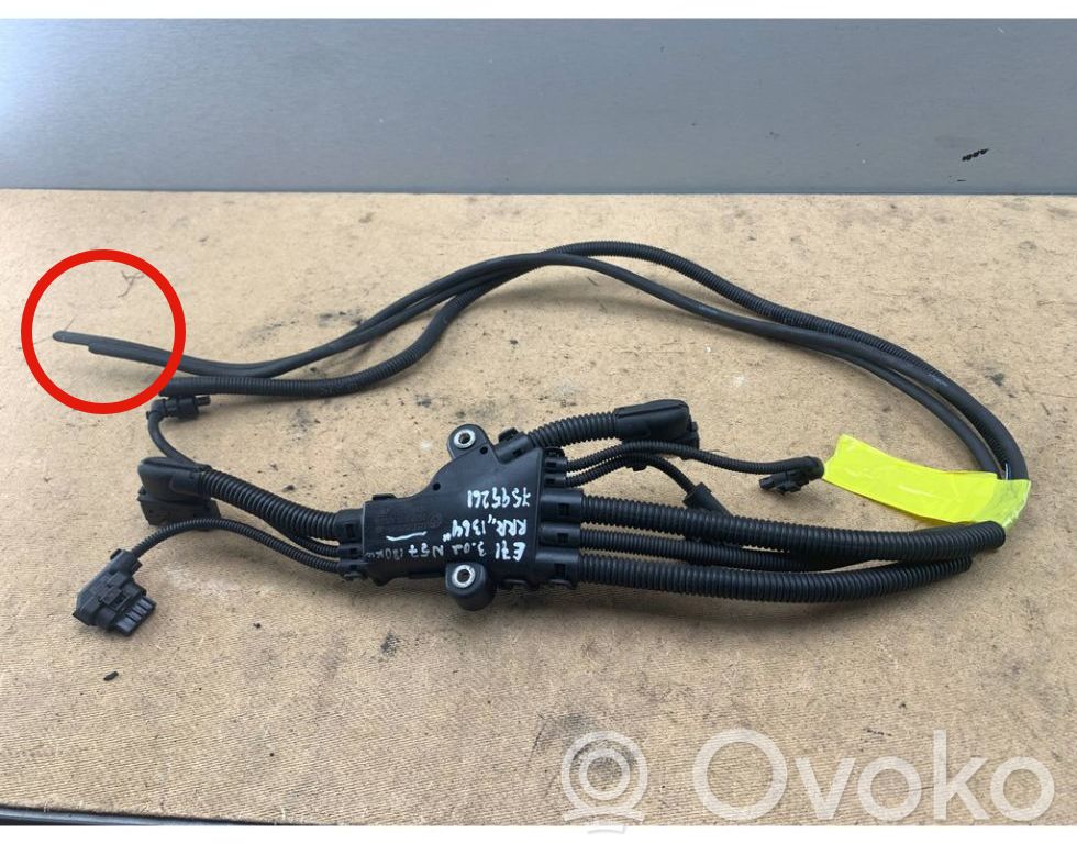 BMW X6 E71 Dešinė salono laidų pynė 