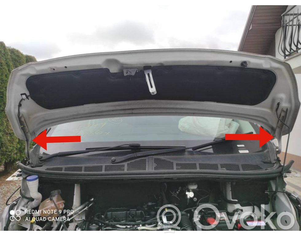 Peugeot Expert Engine bonnet/hood hinges 