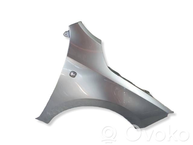 Guardabarro