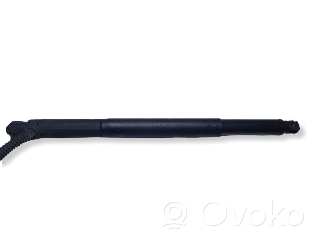 Tailgate/trunk strut/damper   7332697,1200099
