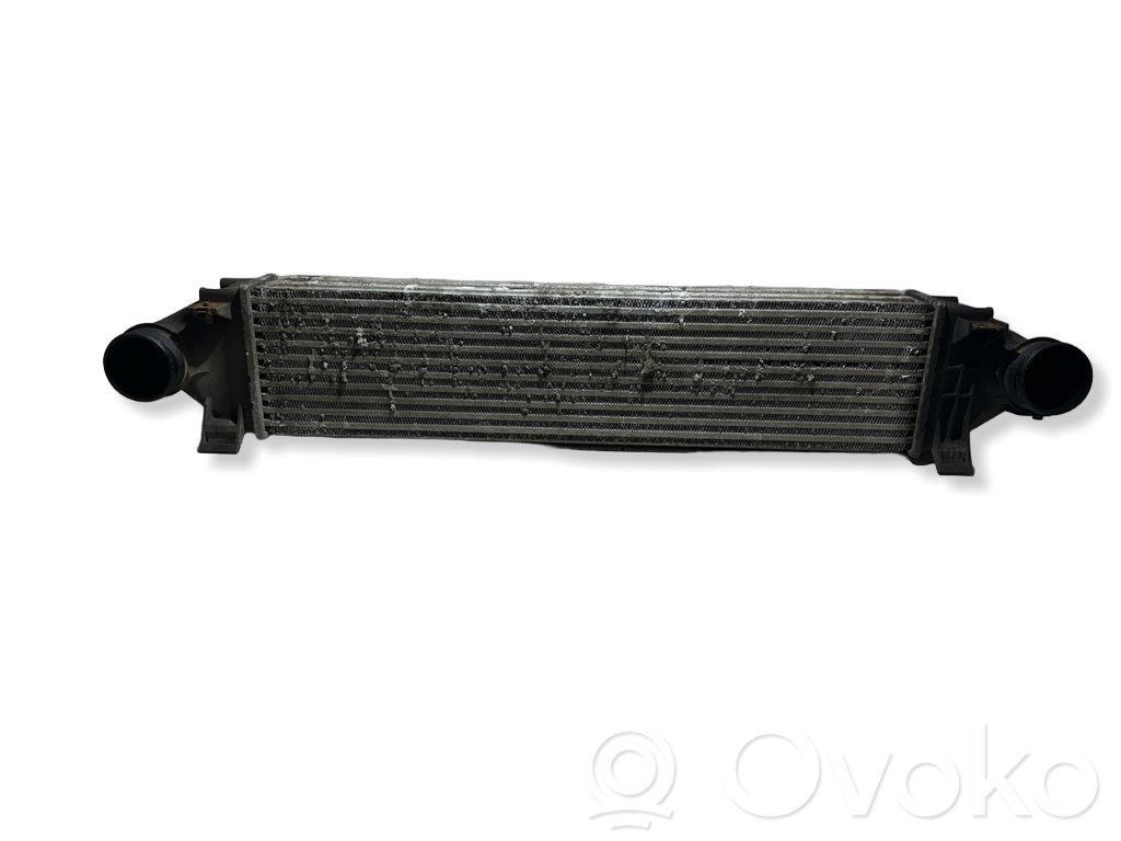 Interkūlerio radiatorius   880655GC