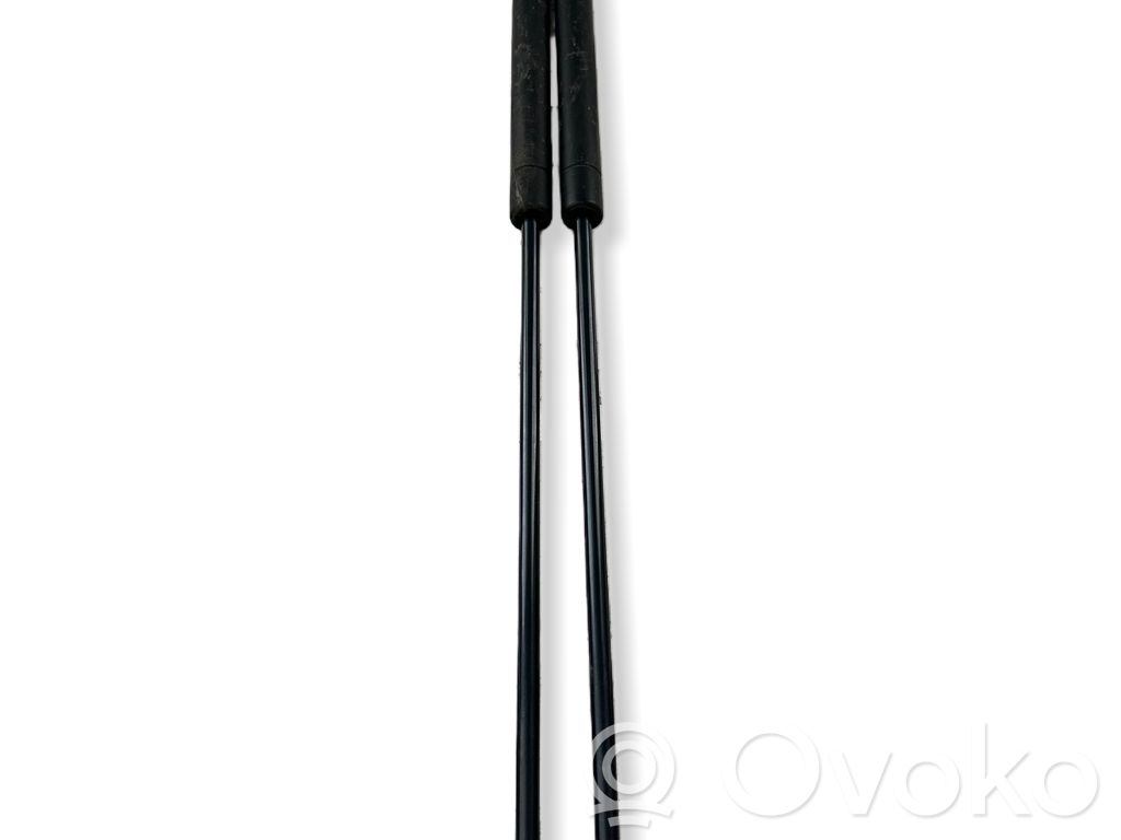 Engine bonnet/hood prop rod/strut