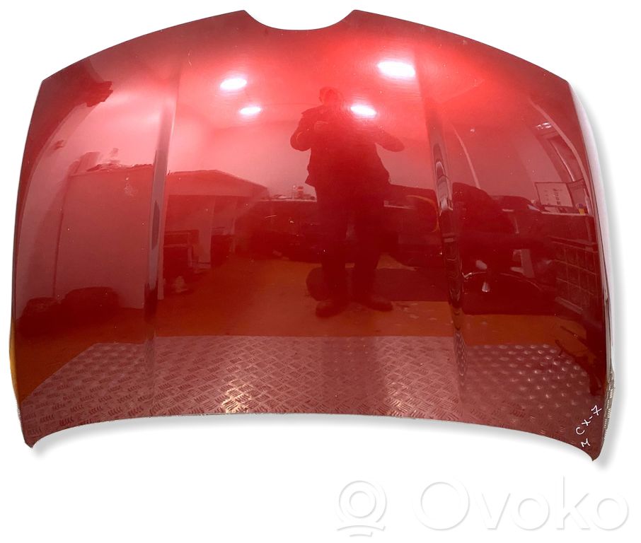 Capó/tapa del motor