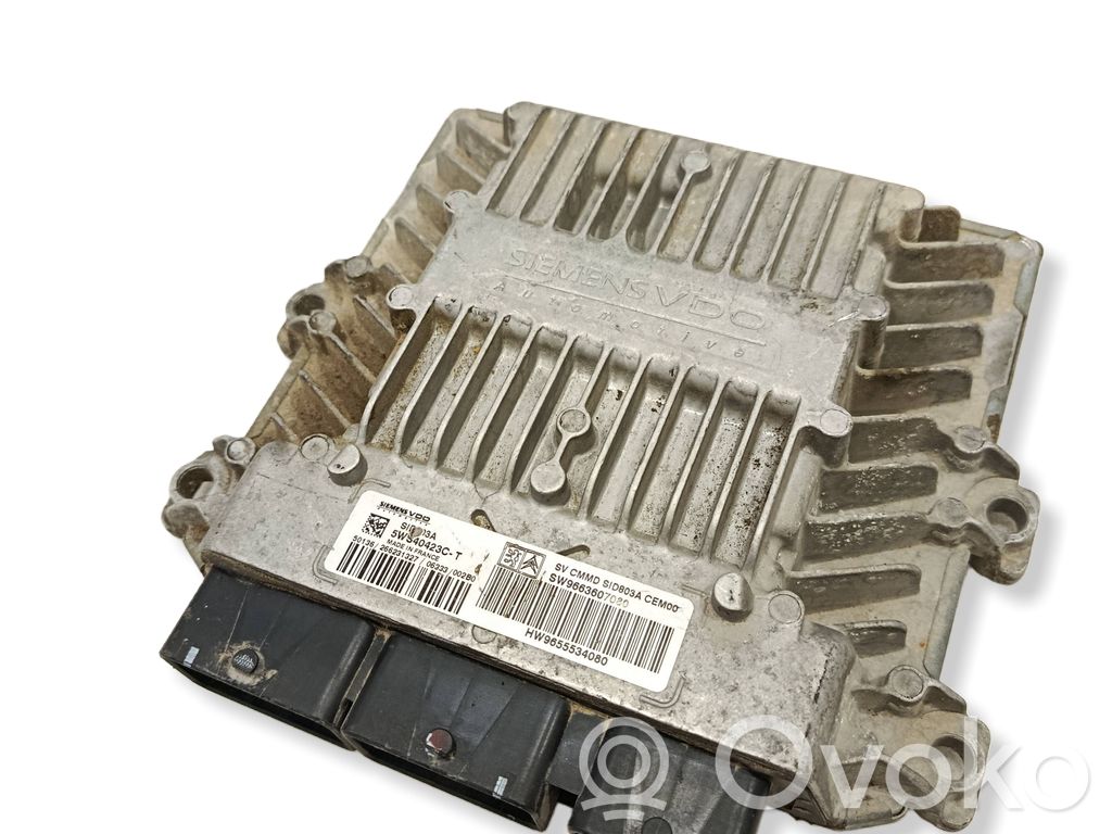 Peugeot 407 Engine control unit/module 