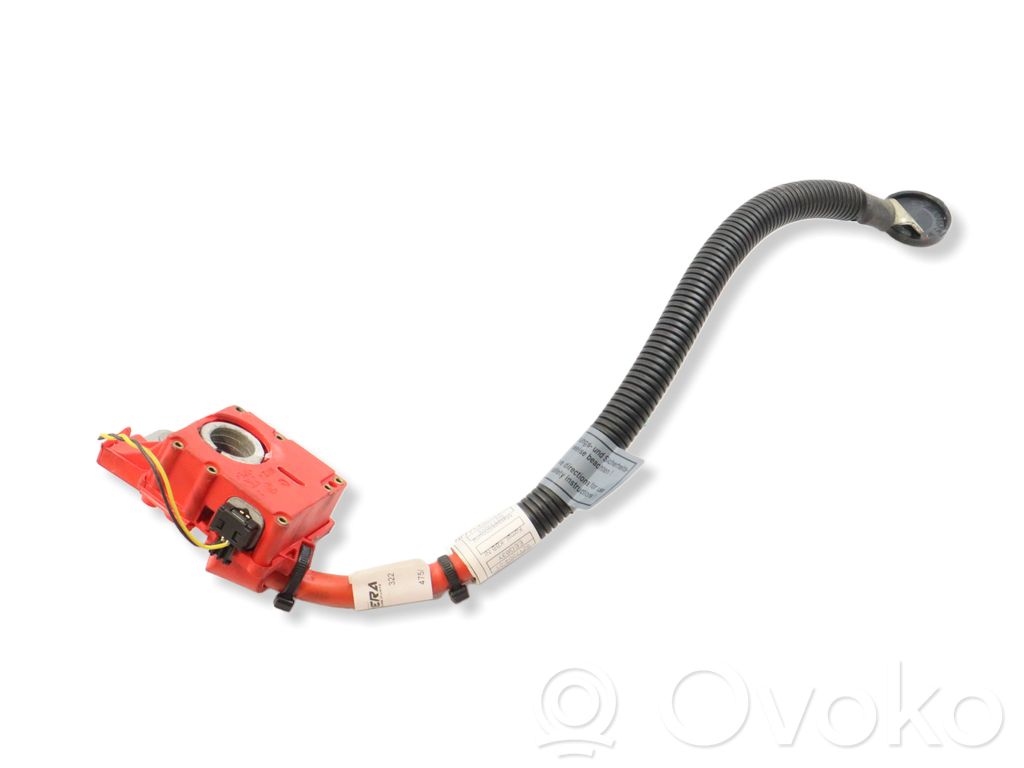 Cable positivo (batería)   9217004,61129217004,9217003