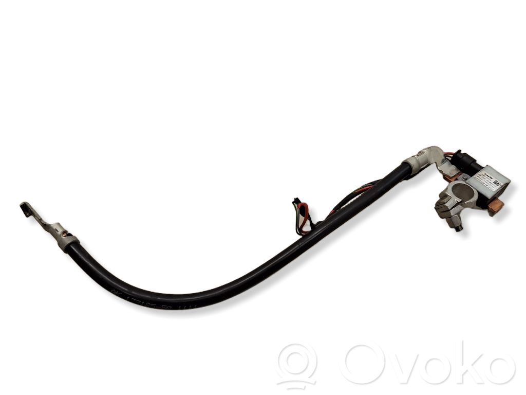 BMW X1 E84 Negative earth cable (battery) 
