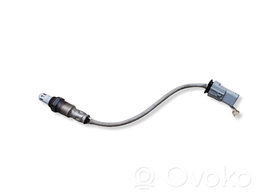 Sonde lambda   12667438
