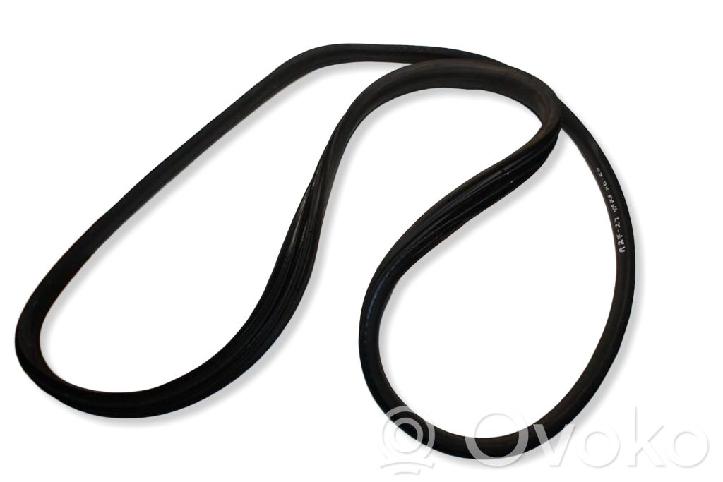 Volvo XC60 Rubber seal rear door 