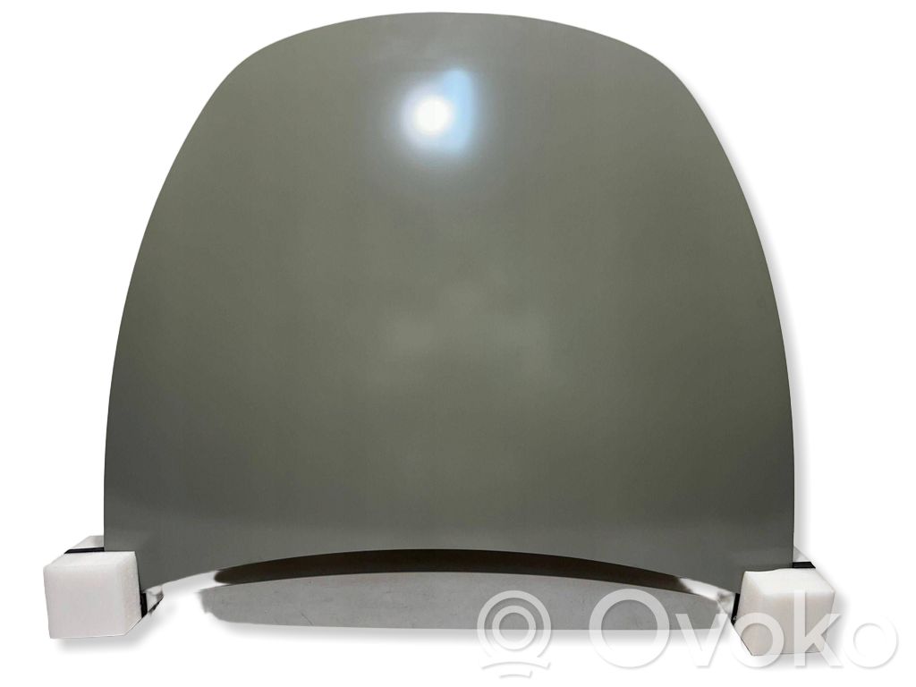 Engine bonnet/hood   1493370,1493370ECA