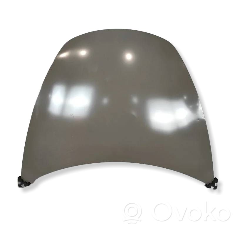 Tesla Model 3 Engine bonnet/hood 