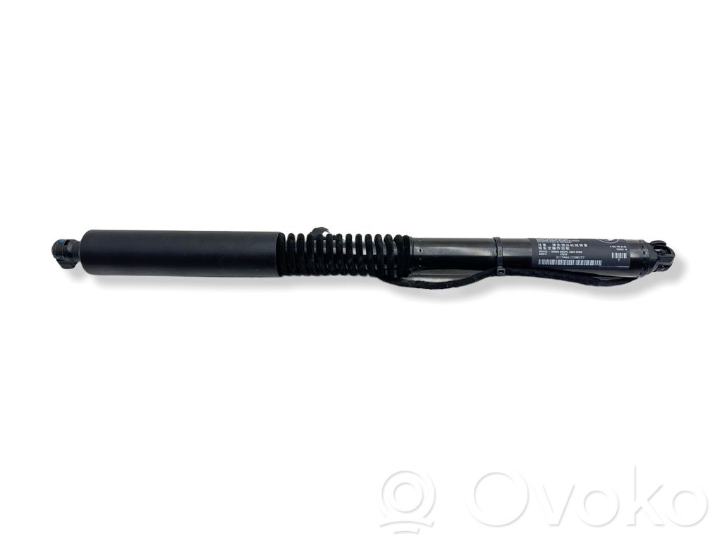 BMW X3 G01 Tailgate/trunk strut/damper 