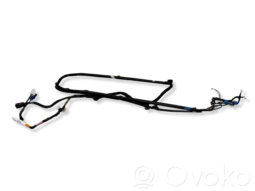 Other wiring loom   161669100D