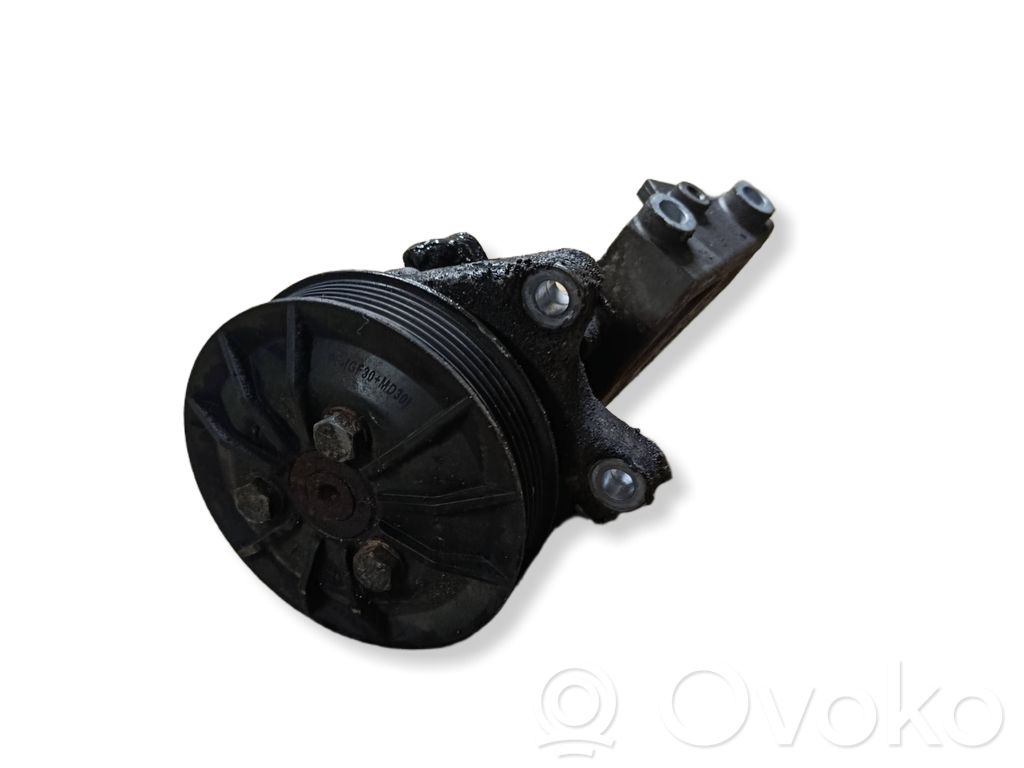 Power steering pump   7539015,44300