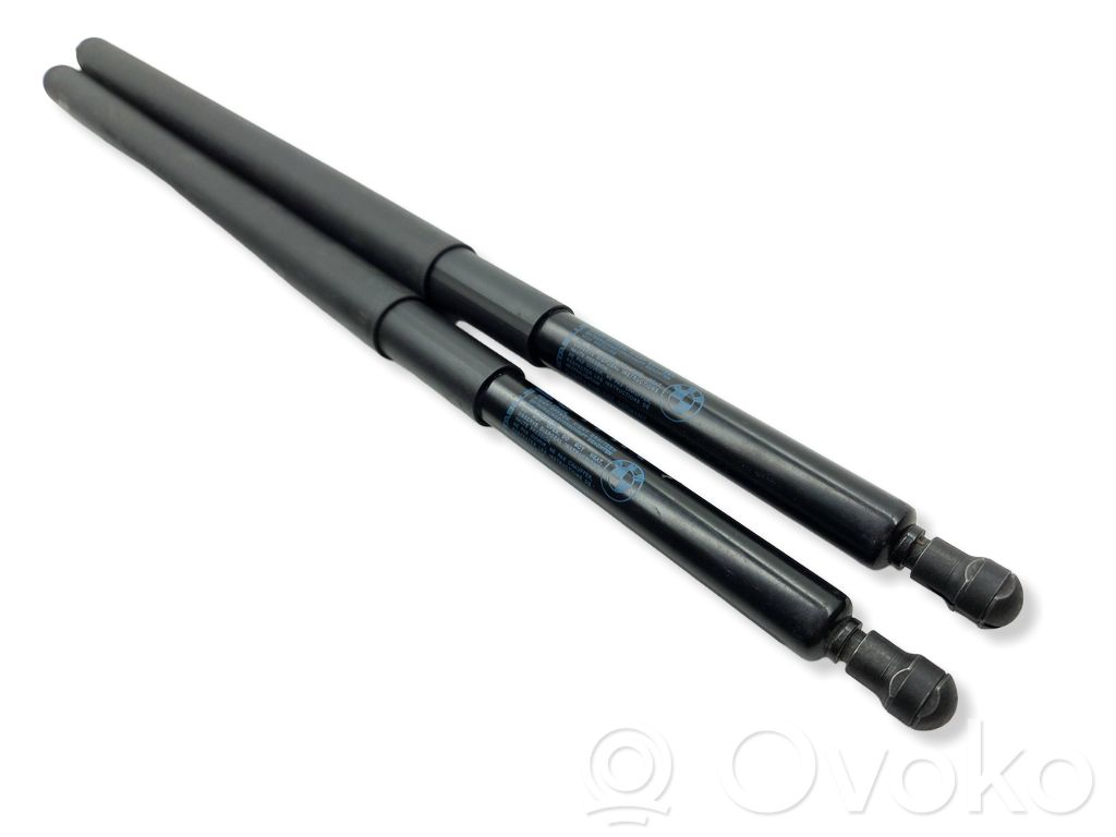 Tailgate/trunk strut/damper   7201468