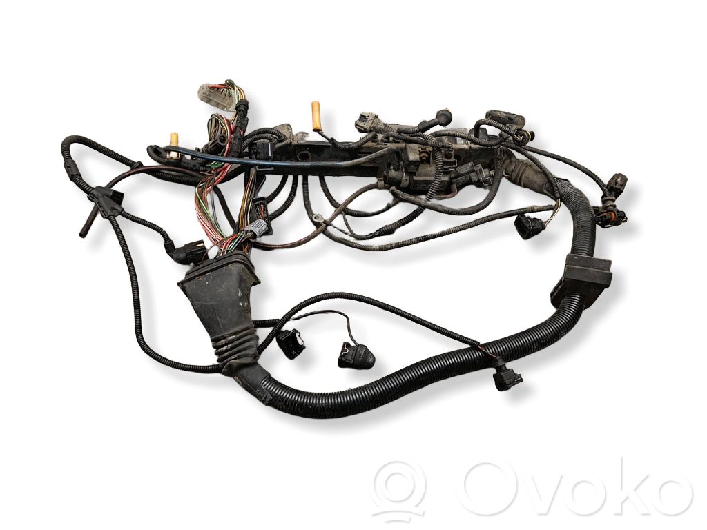 Cablaj motor   755020Z6,E5508M6,224941302,2247148