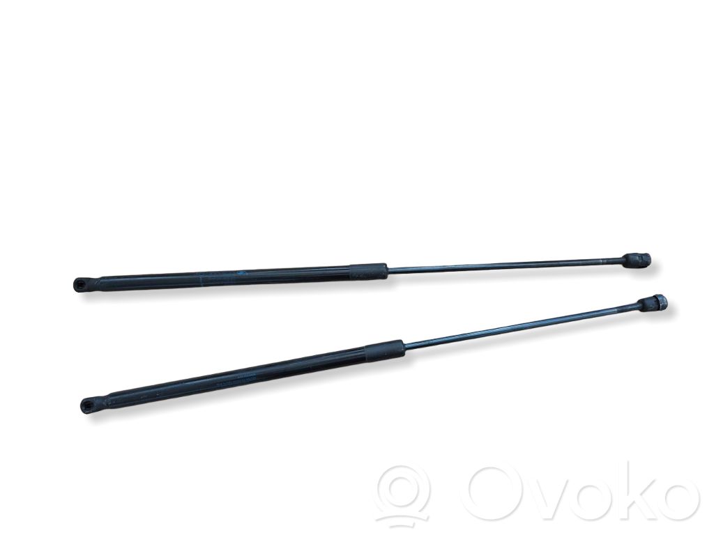 Tailgate strut   904520002R