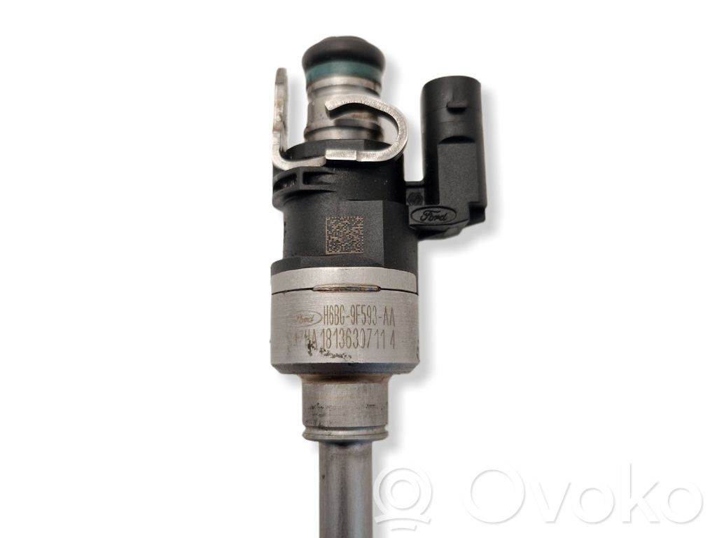 Inyector de combustible   H6BG9F593AA,18136307114