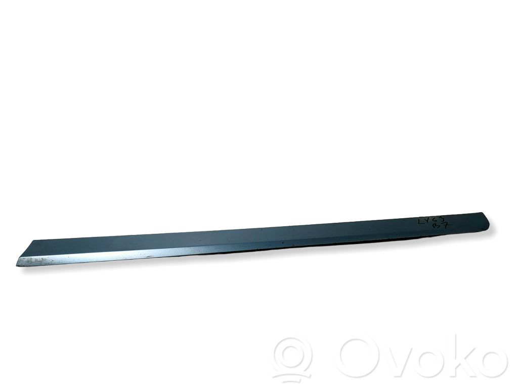 Audi A4 S4 B7 8E 8H Front door trim (molding) 