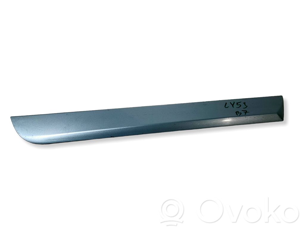Audi A4 S4 B7 8E 8H Front door trim (molding) 