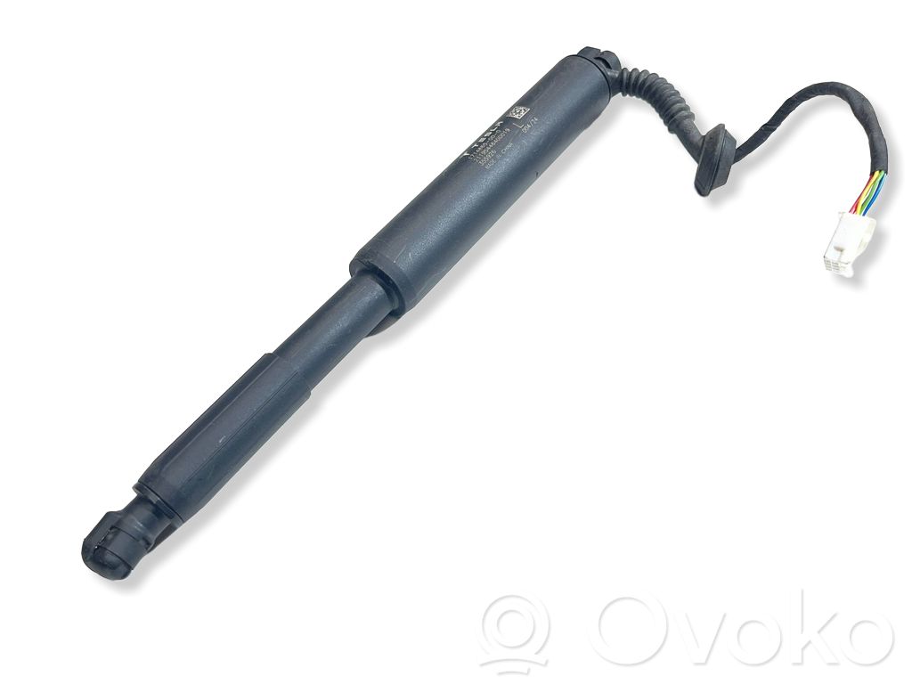 Tesla Model 3 Tailgate strut 
