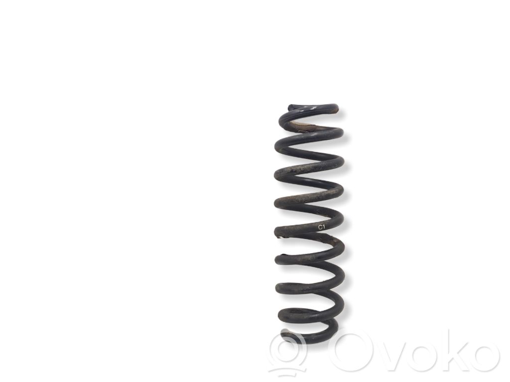 Rear coil spring
