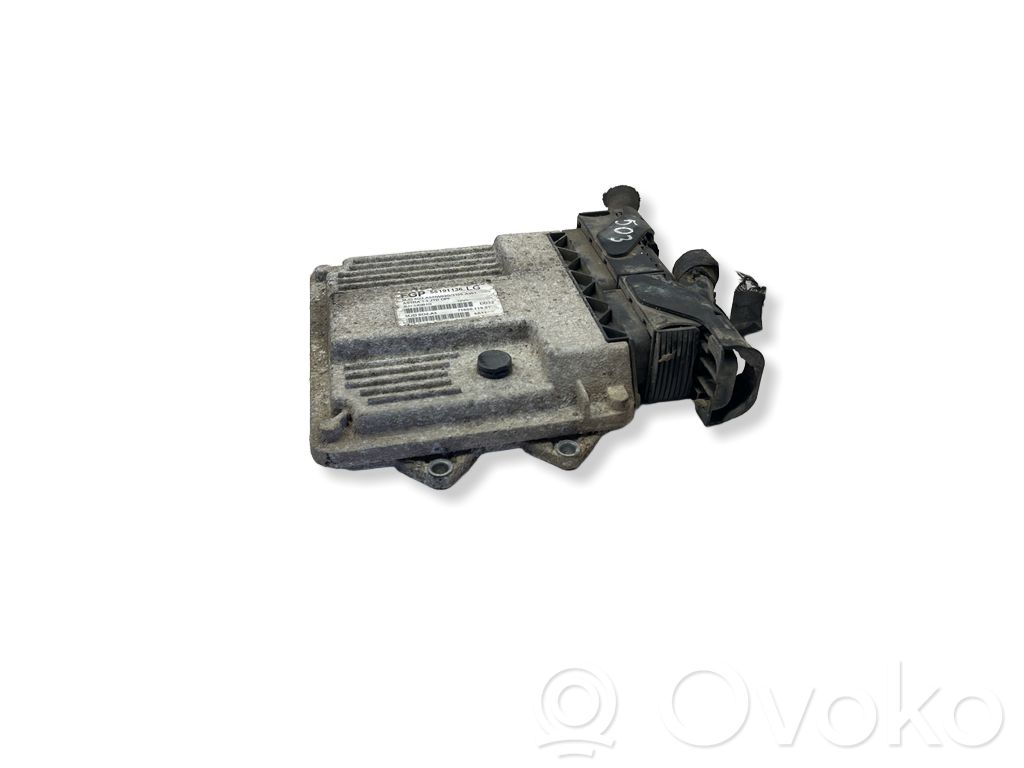 Engine control unit/module   55191136,MJD602A3,7160011901,5QJNDB1G,TESTED
