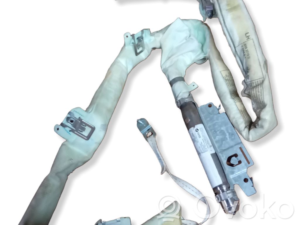 BMW X6 E71 Airbag del techo 