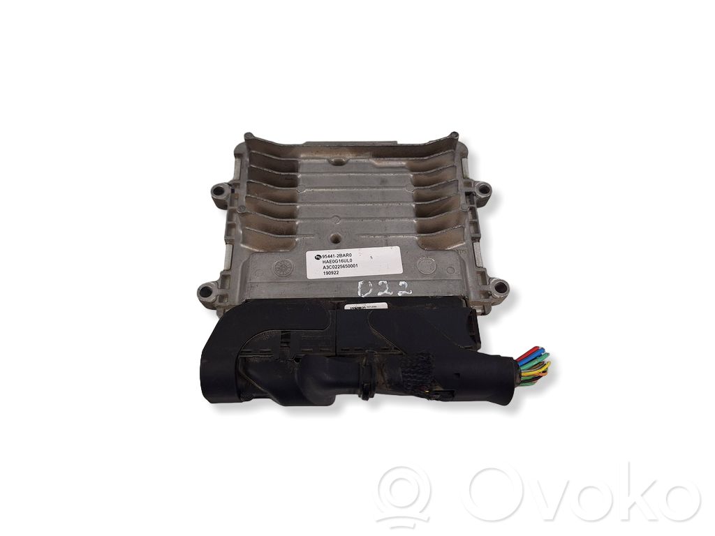 Engine control unit/module   954412BAR0,A3C0225650001