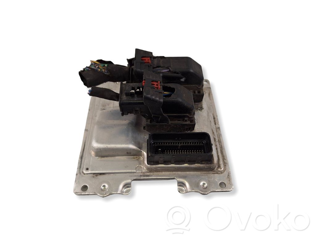 Engine control unit/module   12677095,401287396,1310101000000X