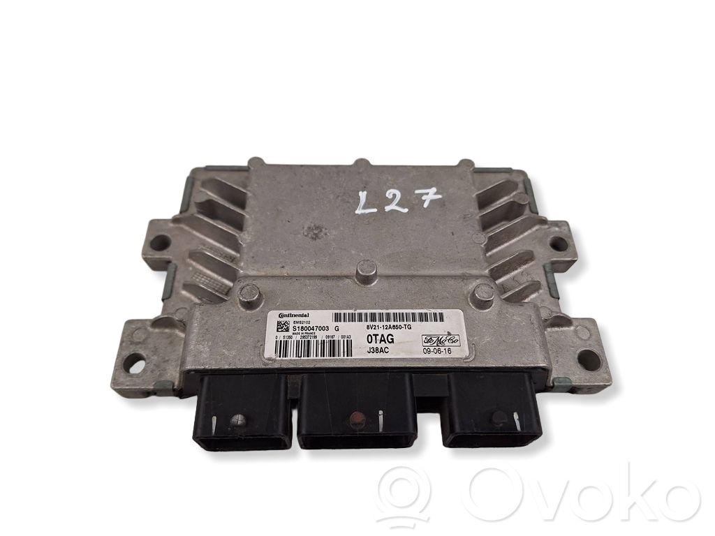 Ford Fiesta Engine control unit/module 