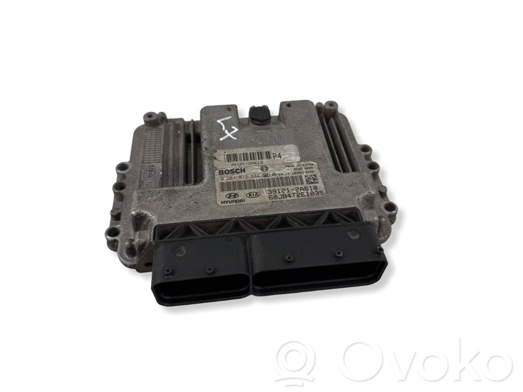 Engine control unit/module   391012A610,0281012332