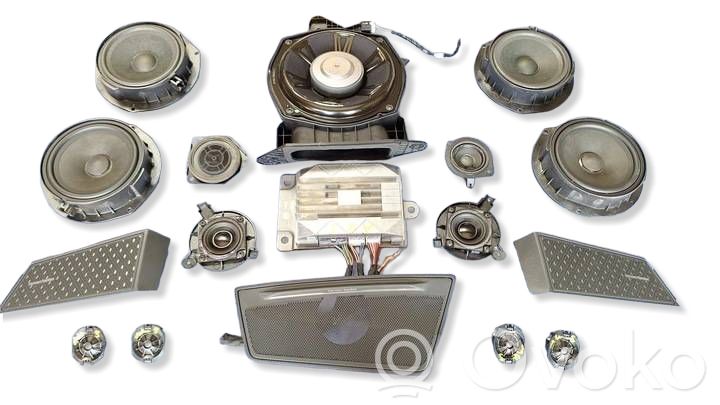 Renault Austral Kit del sistema de audio 
