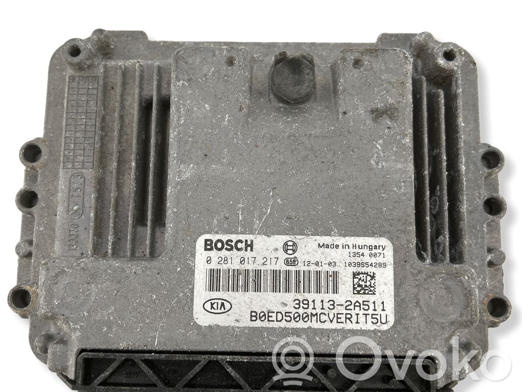 Engine control unit/module   0281017217,391132A511,1039S54289