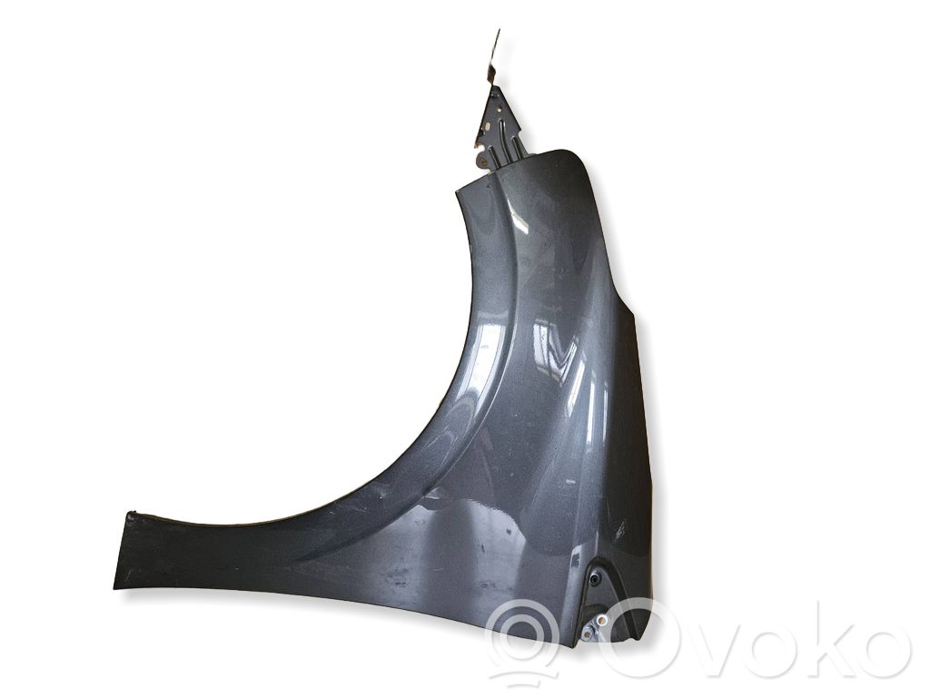 Guardabarro