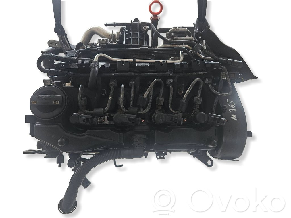 Двигатель   CAYD,03L021BJ,V503
