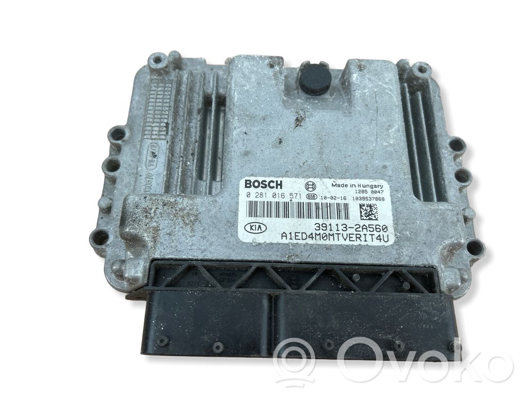 Engine control unit/module   0281016571,391132A560